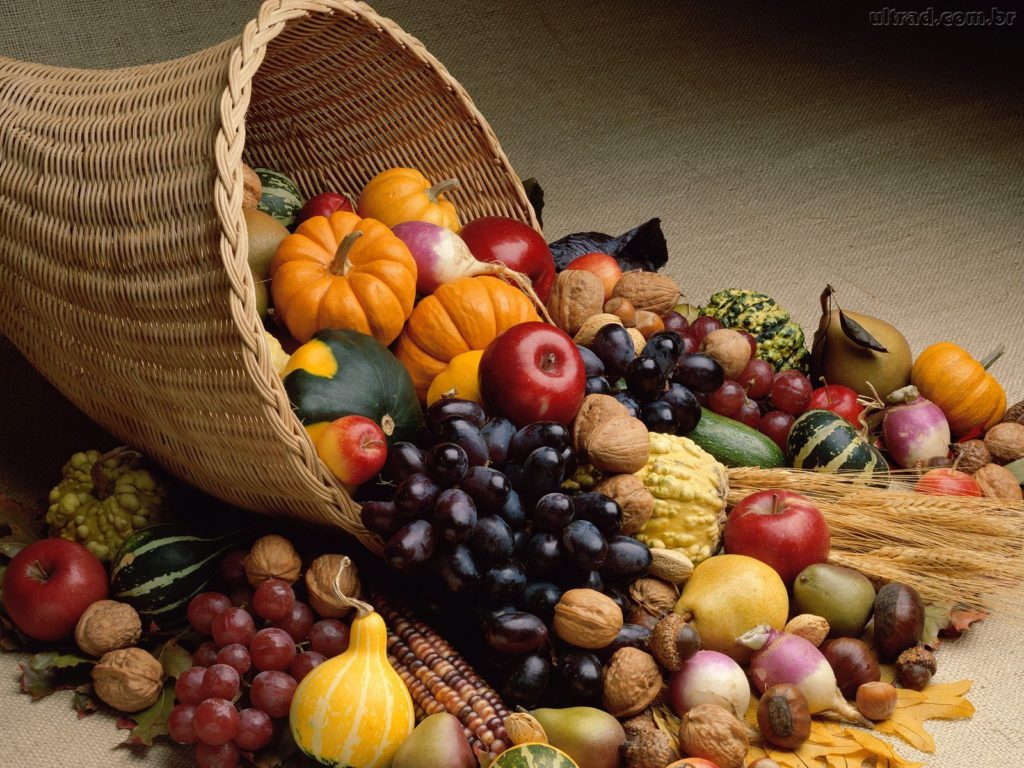 alimentos